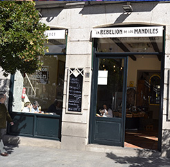 la rebelión de los mandiles