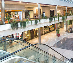 Moda Shopping